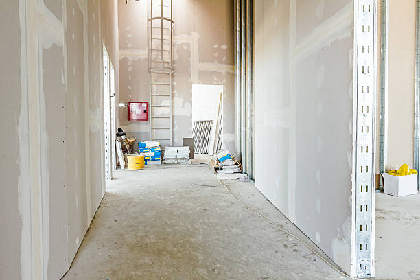 Best Drywall for Remodeling  in Locust Valley, NY